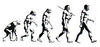 evolutionchart